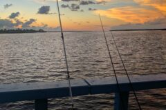 Cape Coral Fishing
